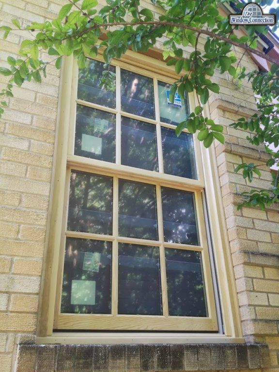 Jeldwen Wood Custom Series Simulated Divided Lite Windows in Kessler Park, Dallas Texas