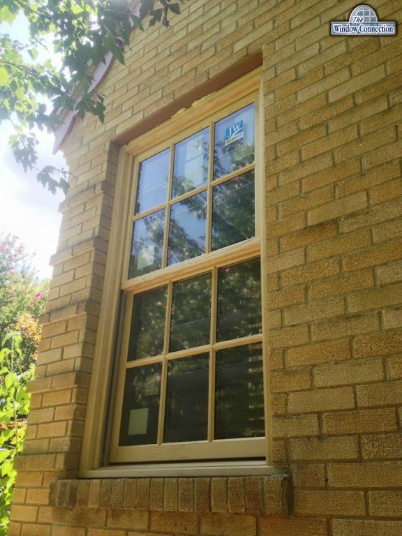 Jeldwen Wood Custom Series Simulated Divided Lite Windows in Kessler Park, Dallas Texas